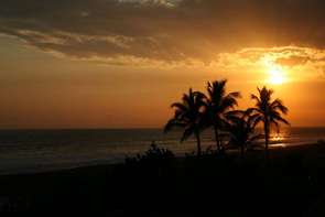 Estrella Del Mar