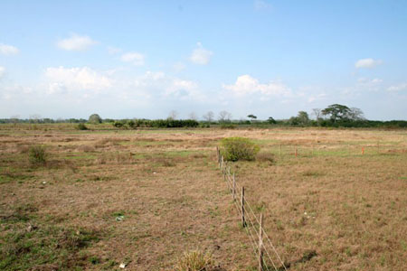 Barqueta Nice H11 Panama Ocean View Lot