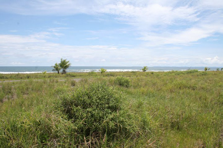 Las Olas Villa 10 Panama Ocean Front Lot