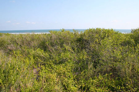 LOT #18 - Las Olas Villas