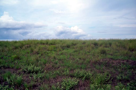 Barqueta Nice O5 Panama Ocean View Lot