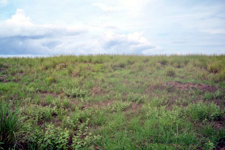 Barqueta Nice O5 Panama Ocean View Lot