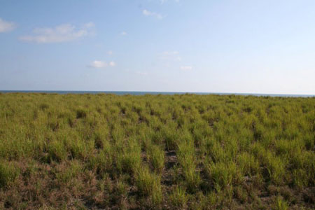 Barqueta Nice I11 Panama Ocean View Lot